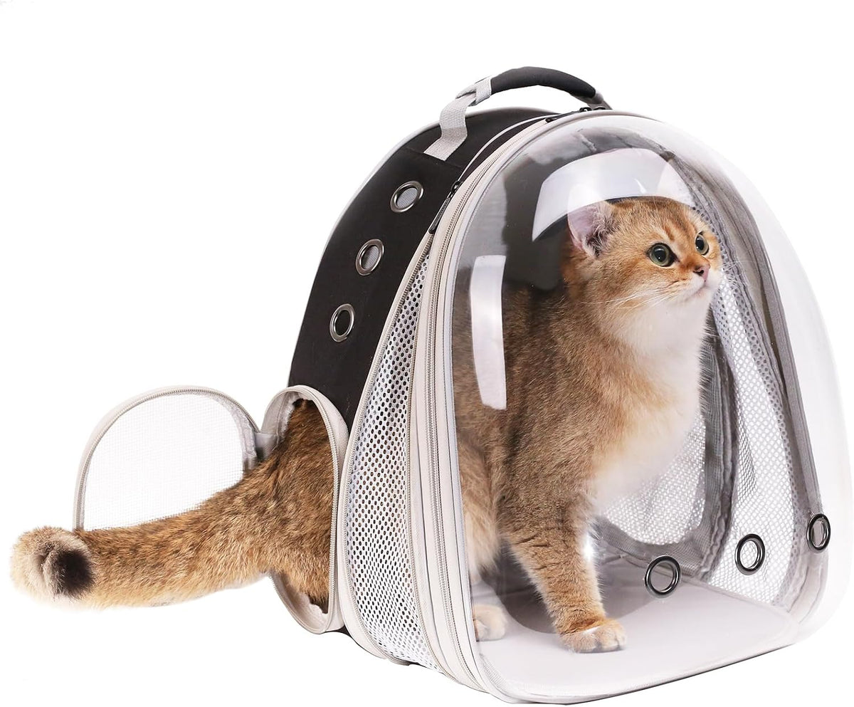 Sac à dos capsule spatial noir pour chat avec hublot panoramique et chat roux à l'intérieur