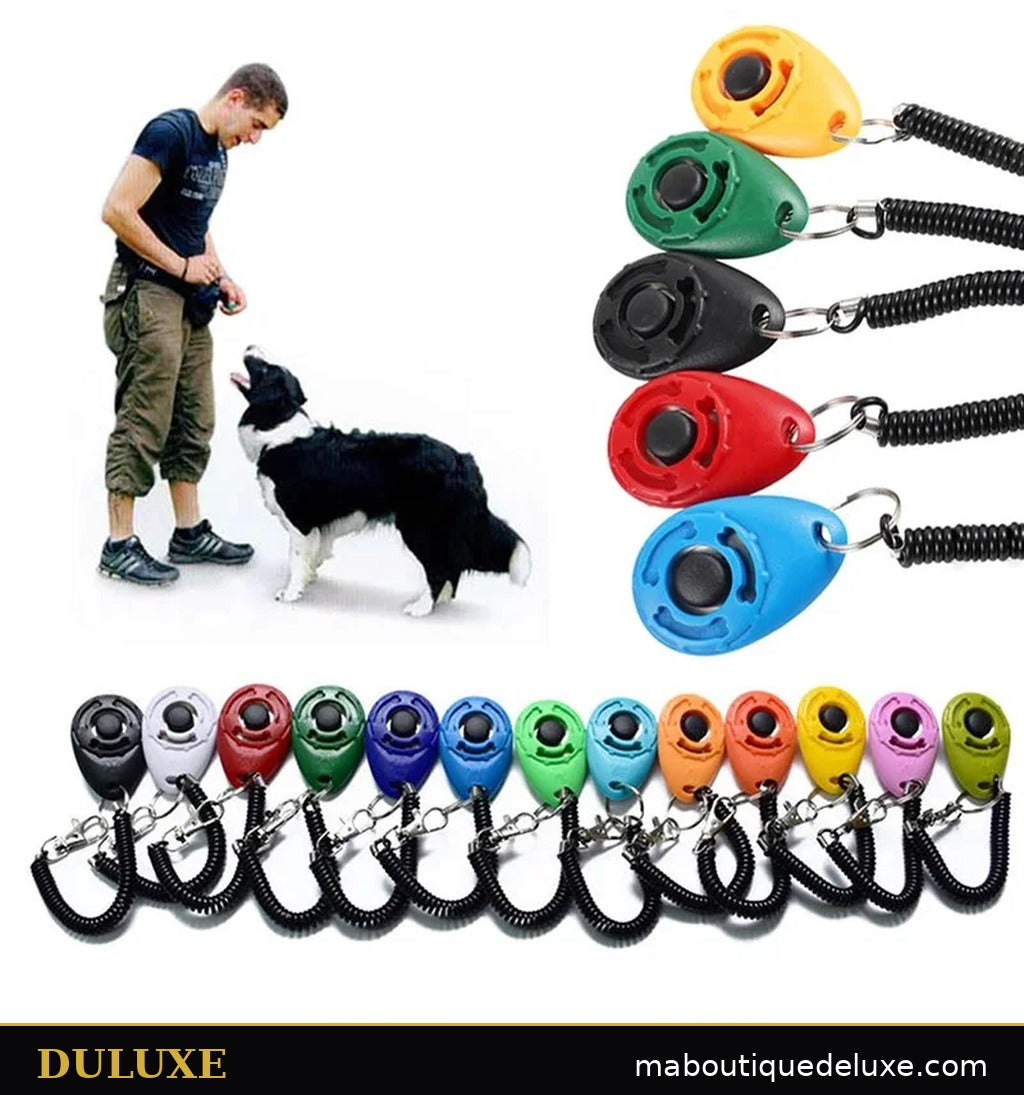 Clickers d'entraînement DULUXE avec dragonne pour chien et chat, séance d'éducation avec un border collie