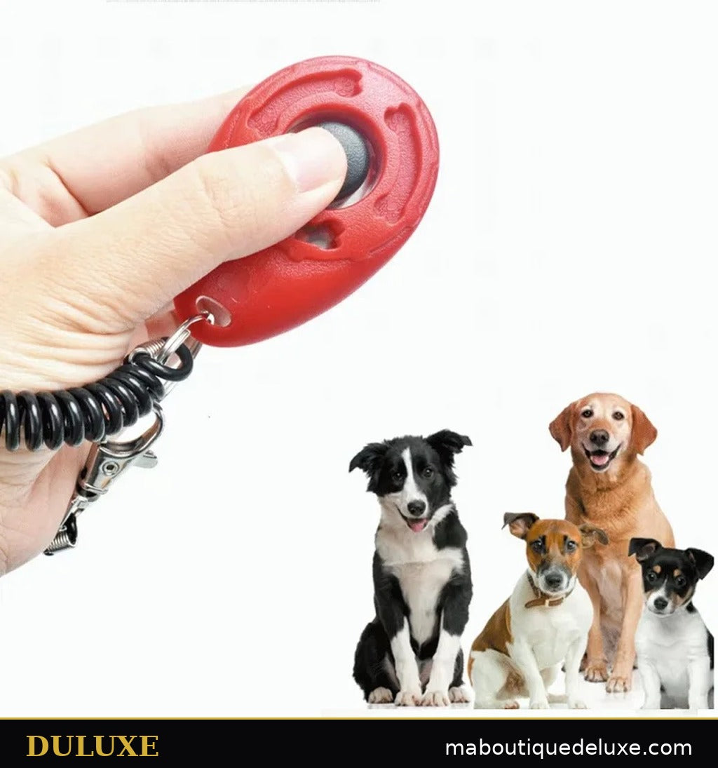 Main tenant le clicker rouge DULUXE, trois chiens attentifs prêts pour la séance d'entraînement