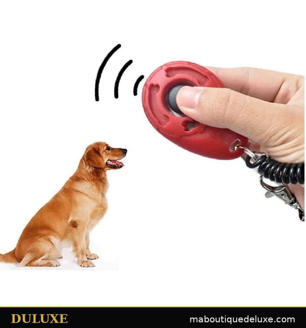 Clic du clicker DULUXE en main pendant l'entraînement, golden retriever assis et attentif