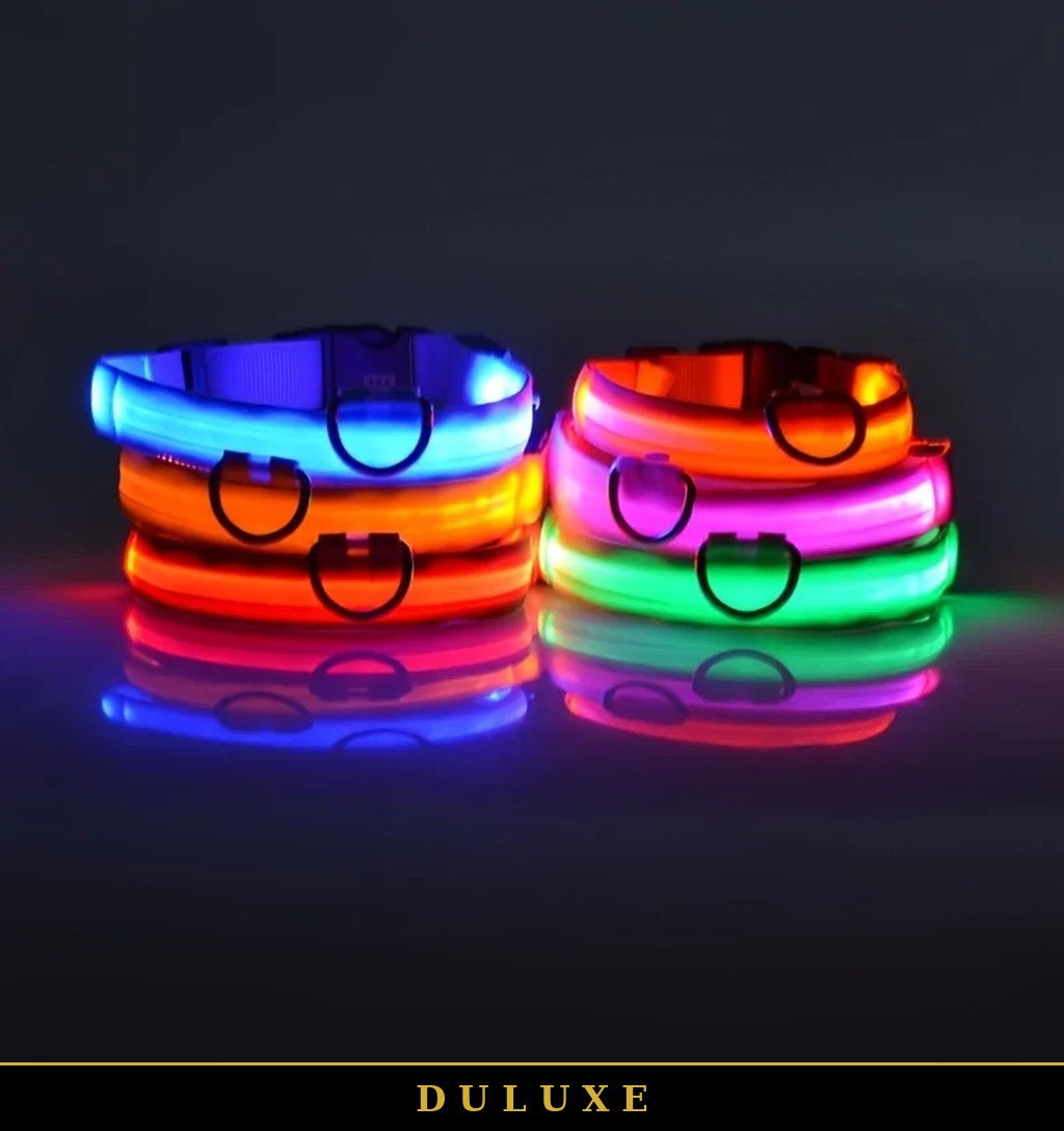 Colliers lumineux LED DULUXE allumés en bleu, orange, rose et vert dans la nuit
