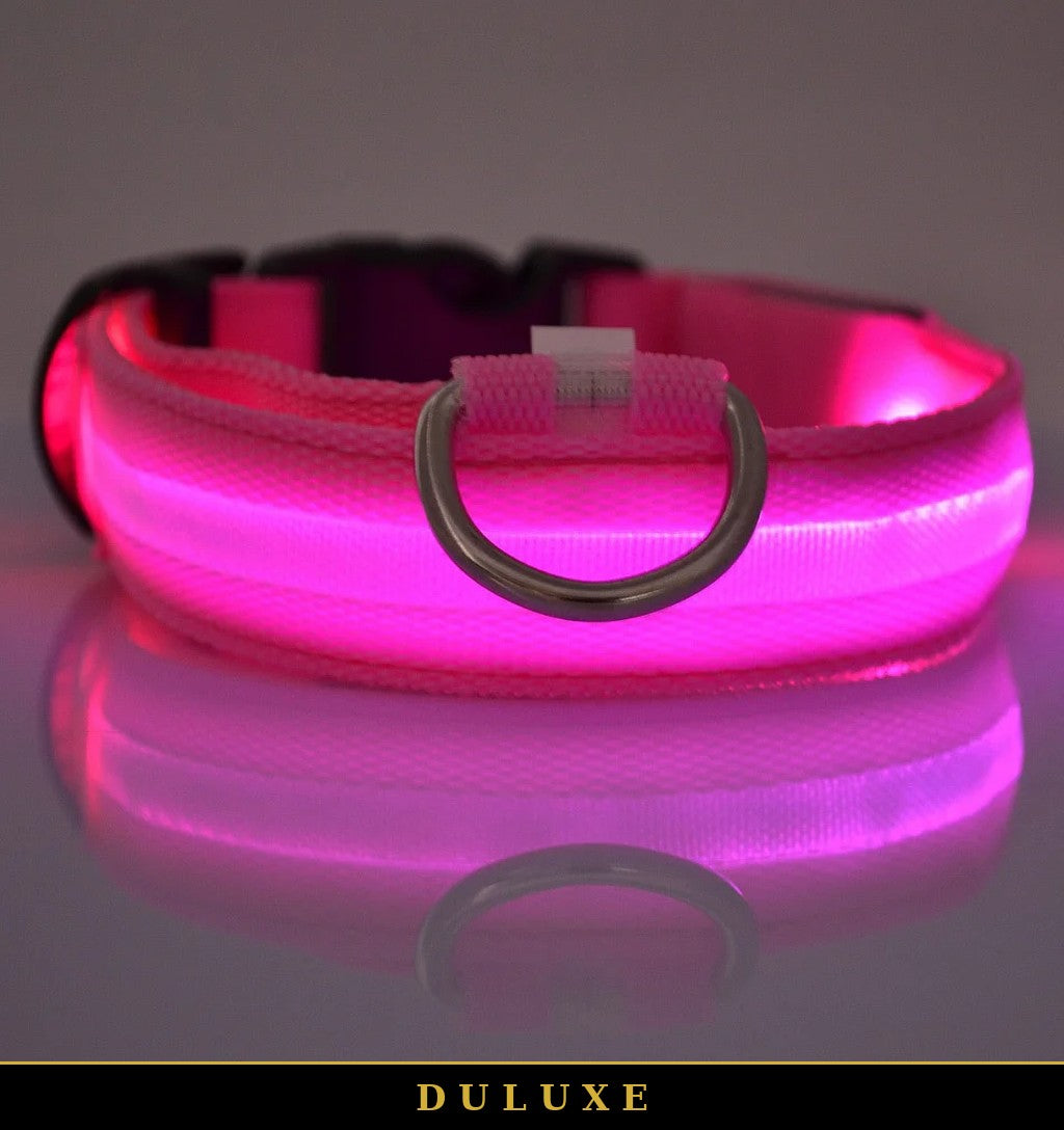 Collier lumineux LED rose DULUXE avec anneau en D pour la laisse, gros plan