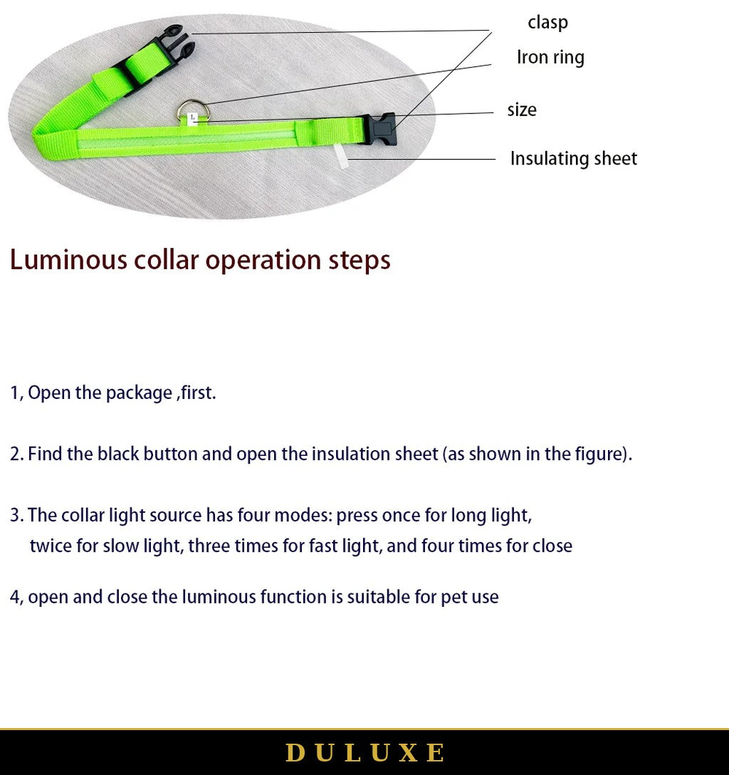 Détails du collier lumineux LED DULUXE : boucle à clip, anneau en D et bande lumineuse