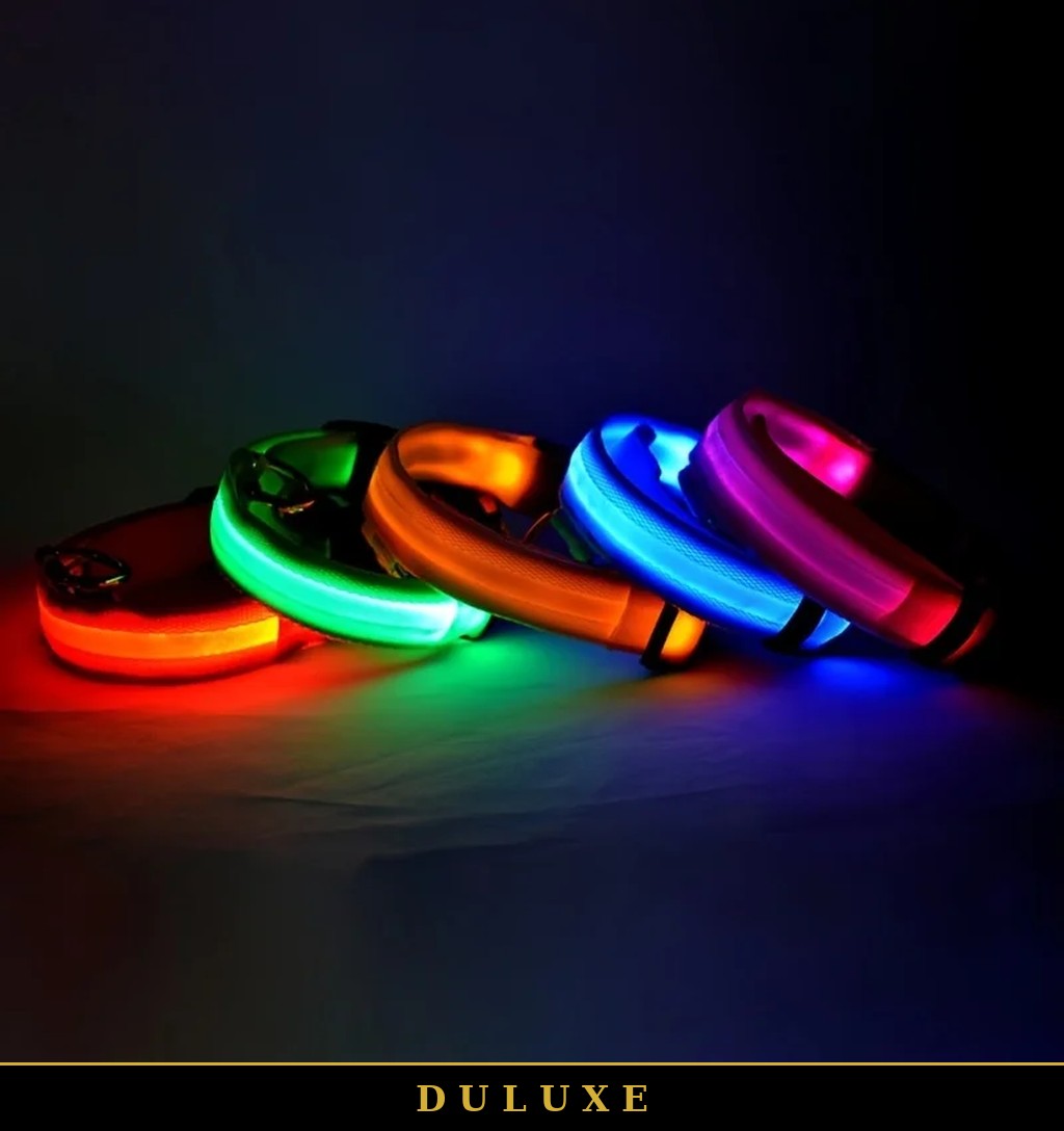 Colliers lumineux LED DULUXE empilés en bleu, orange, rose et vert, reflets nocturnes