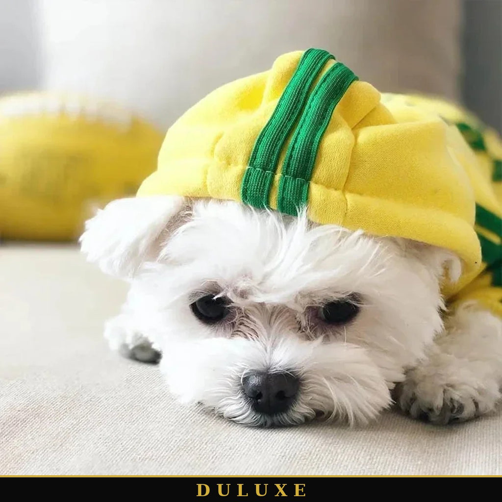 Petit chien blanc en combinaison survêtement à capuche jaune à bandes vertes DULUXE