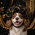 Chien souriant portant une perruque de déguisement DULUXE sur fond noir et doré