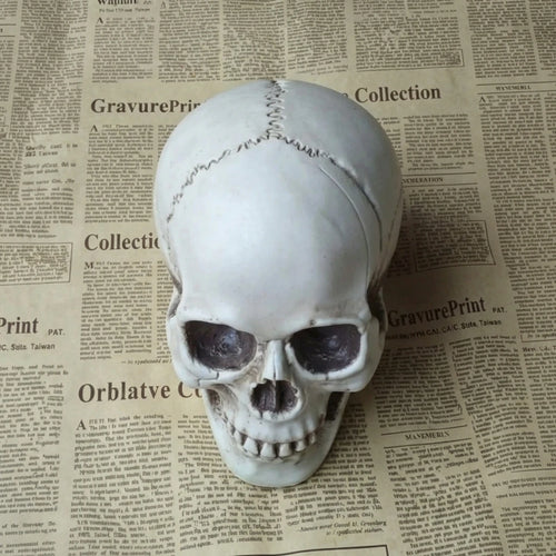 Crâne Halloween - Décorez avec horreur! - vue principale