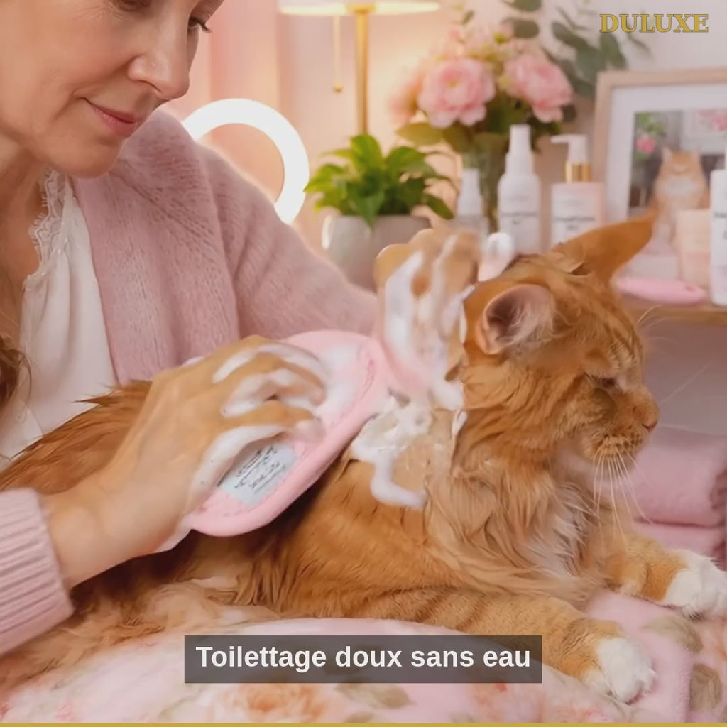 Vidéo démo du shampooing sec sans rinçage DULUXE : toilettage doux pour chien et chat en français