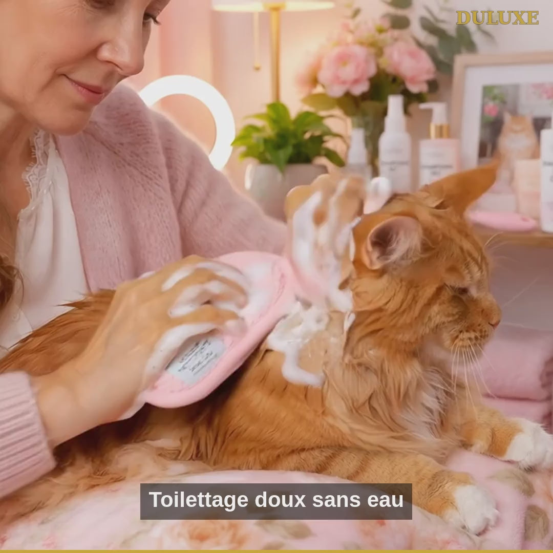 Vidéo démo du shampooing sec sans rinçage DULUXE : toilettage doux pour chien et chat en français