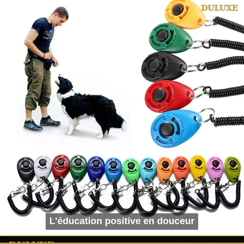 Vidéo démo du clicker d'entraînement DULUXE pour chien et chat, lot de 2 avec dragonne, en français