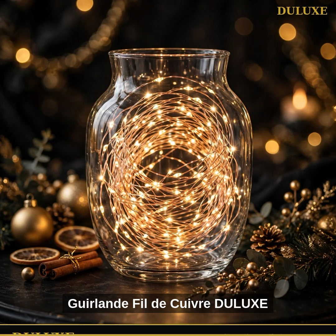 Vidéo démo de la guirlande lumineuse fil de cuivre DULUXE, 100 LED féeriques dans un vase et en centre de table, en français