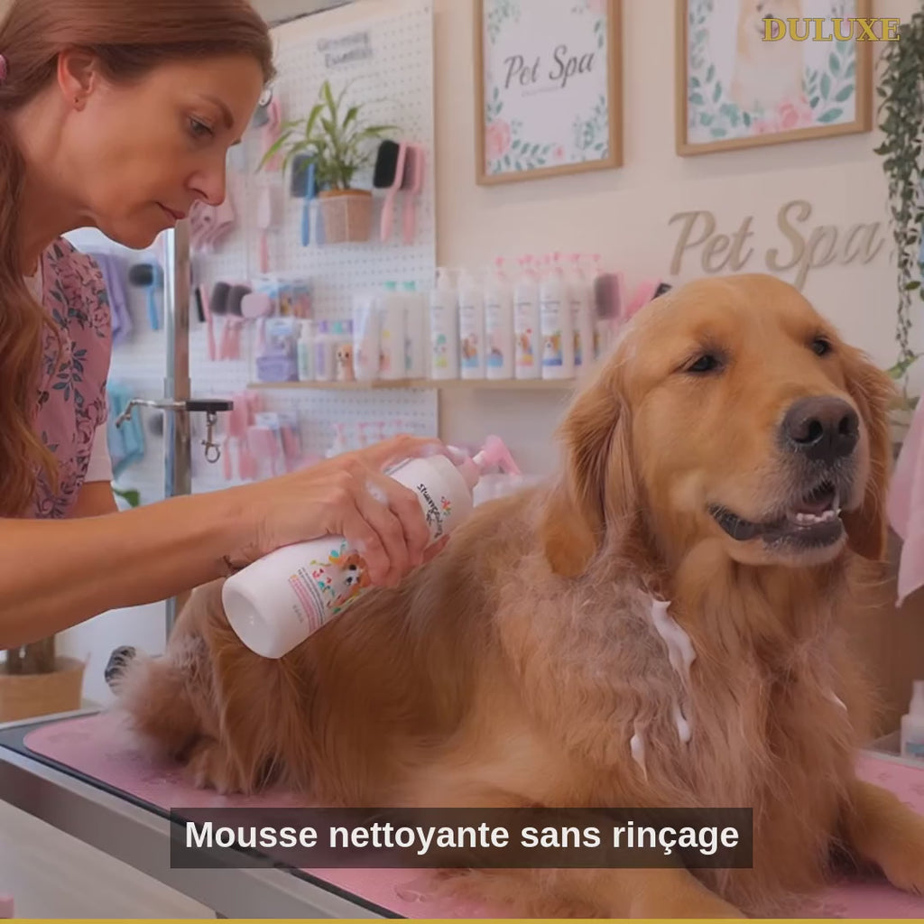 Vidéo démo du shampooing sec sans rinçage DULUXE pour chien et chat en français