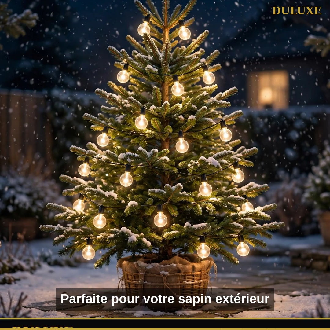 Vidéo démo de la guirlande lumineuse DULUXE pour Noël et les fêtes : sapin extérieur, fenêtre et fête de jardin, en français