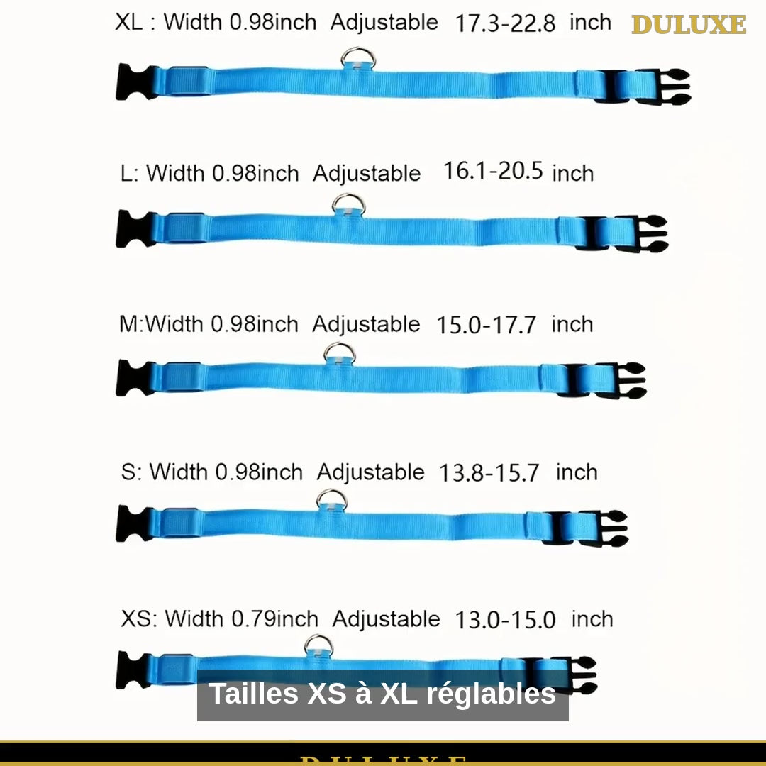 Vidéo démo du collier lumineux LED DULUXE : tailles, couleurs et mise en route, en français